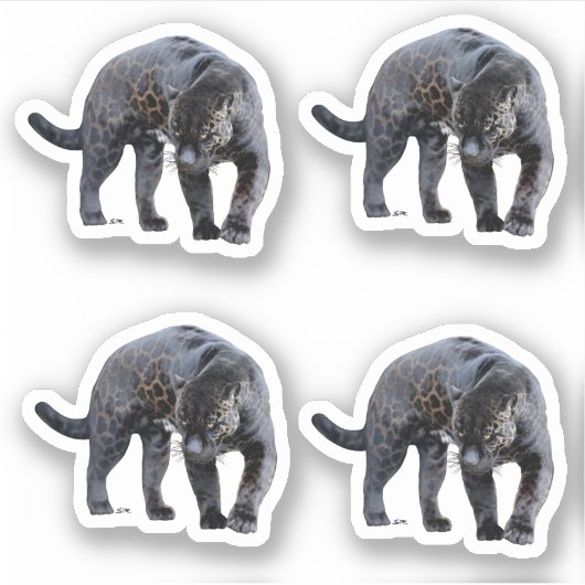 Jaguar Diablo 4 stickers (Voorkant)