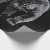 Jaguar Diablo black matte wrapte papier (Hoek)