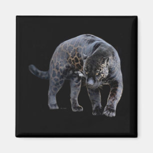 Jaguar Diablo black square magneet