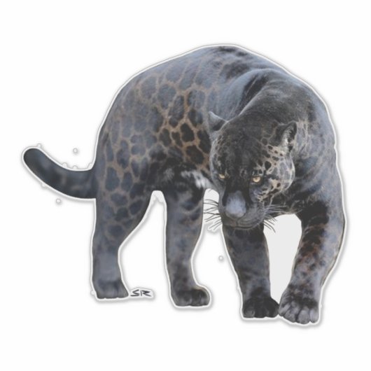 Jaguar Diablo contour sticker (Voorkant)