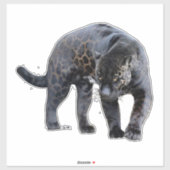 Jaguar Diablo contour sticker (Vel)