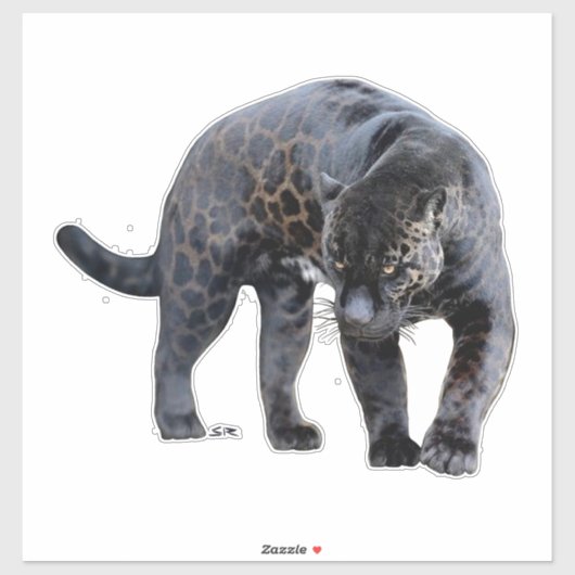 Jaguar Diablo contour sticker (Vel)