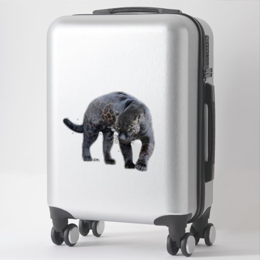 Jaguar Diablo contour sticker (Koffer)