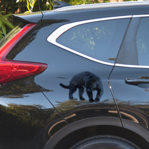 Jaguar Diablo contour sticker
