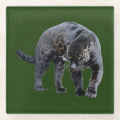 Jaguar Diablo green glass onderzetter (Voorkant)