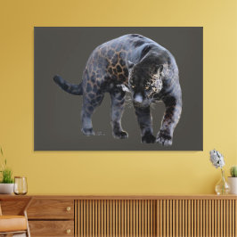 Jaguar Diablo grijs canvas print