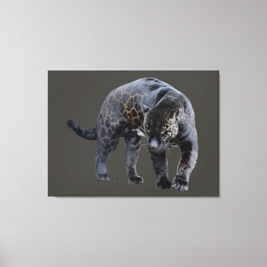 Jaguar Diablo grijs canvas print (Voorkant)