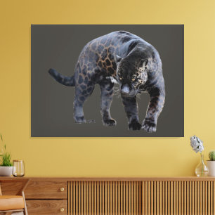 Jaguar Diablo grijs canvasprint Canvas Afdruk