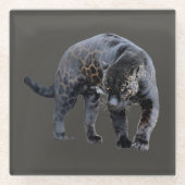 Jaguar Diablo grijs onderzetter (Voorkant)