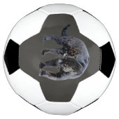 Jaguar Diablo grijs voetbal (Gedraaid)