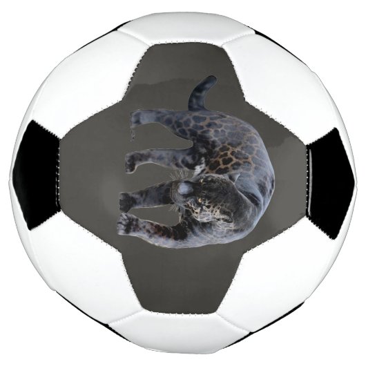 Jaguar Diablo grijs voetbal (Gedraaid)