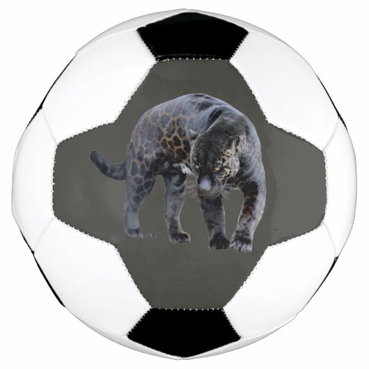 Jaguar Diablo grijs voetbal (Voorkant)