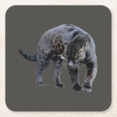 Jaguar Diablo grijze papieren onderzetters (Voorkant)