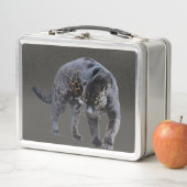 Jaguar Diablo grijze roestvrije lunchbox (In situ)
