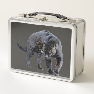 Jaguar Diablo grijze roestvrije lunchbox