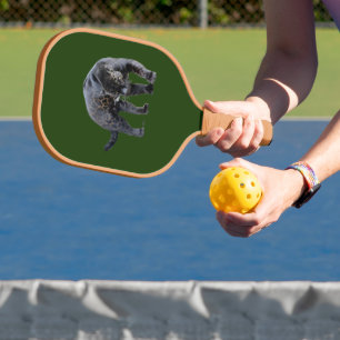 Jaguar Diablo groen bruin bont pickleball paddle c