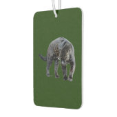 Jaguar Diablo groene auto luchtverfrisser (Links)
