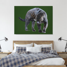 Jaguar Diablo groene canvas print