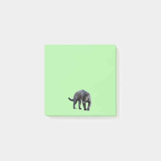 Jaguar Diablo groene notitieblokken Post-it® Notes (Voorkant)