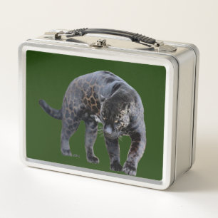 Jaguar Diablo groene roestvrije lunchbox
