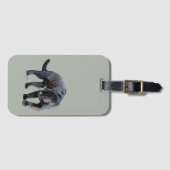 Jaguar Diablo lichtgrijs bagagelabel (Voorkant (horizontaal))