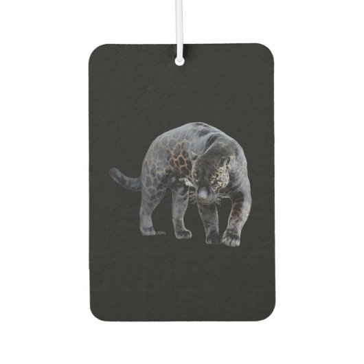 Jaguar Diablo: luchtverfrisser (Voorkant)