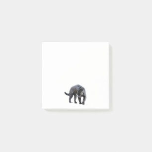 Jaguar Diablo notapads Post-it® Notes