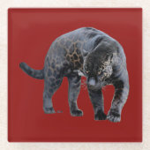 Jaguar Diablo red glass onderzetter (Voorkant)