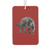 Jaguar Diablo rode auto luchtverfrisser (Achterkant)