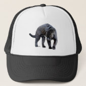 Jaguar Diablo trucker hat Trucker Pet (Voorkant)