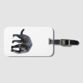 Jaguar Diablo wit bagagelabel (Voorkant (horizontaal))