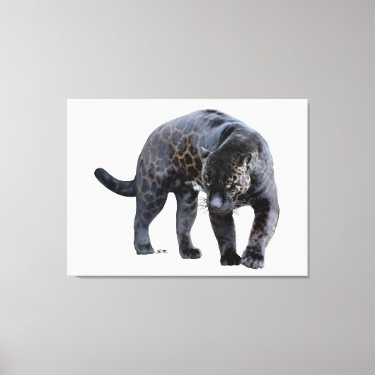 Jaguar Diablo wit canvas print (Voorkant)