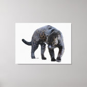 Jaguar Diablo witte canvasprint Canvas Afdruk (Voorkant)