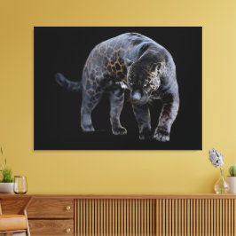 Jaguar Diablo zwart canvas print