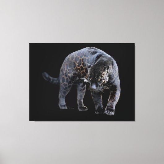 Jaguar Diablo zwart canvas print (Voorkant)