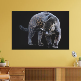 Jaguar Diablo zwart canvas print