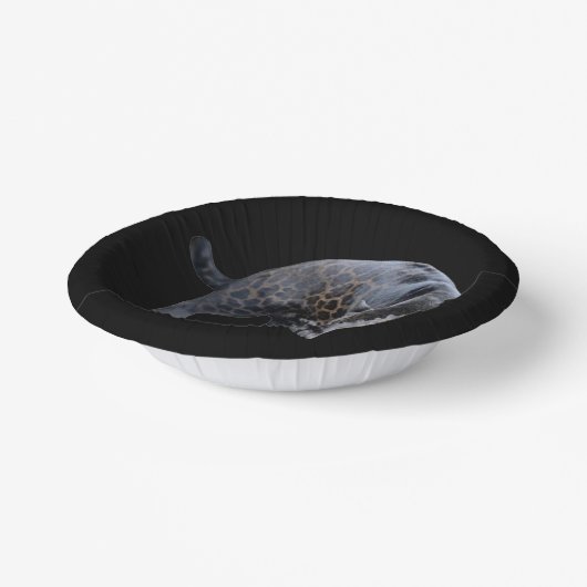 Jaguar Diablo zwarte papieren schalen Papieren Kommen (Gebogen)