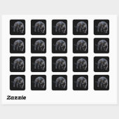 Jaguar Diablo zwarte vierkante stickers (Vel)