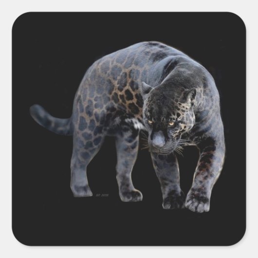 Jaguar Diablo zwarte vierkante stickers (Voorkant)