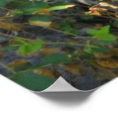 jaguar dichtbij een volledig schot poster (Hoek)