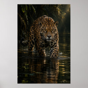 Jaguar die door donker junglewater loopt Wildlife Poster