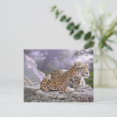 Jaguar en Mayan Temple Briefkaart (Staand voorkant)