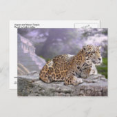Jaguar en Mayan Temple Briefkaart (Voorkant / Achterkant)