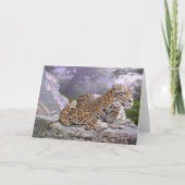 Jaguar en Mayan Temple Kaart (Voorkant)