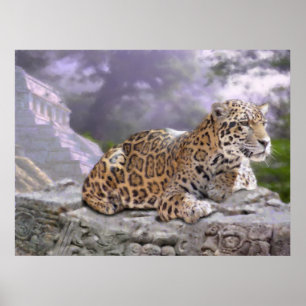 Jaguar en Mayan Temple Poster