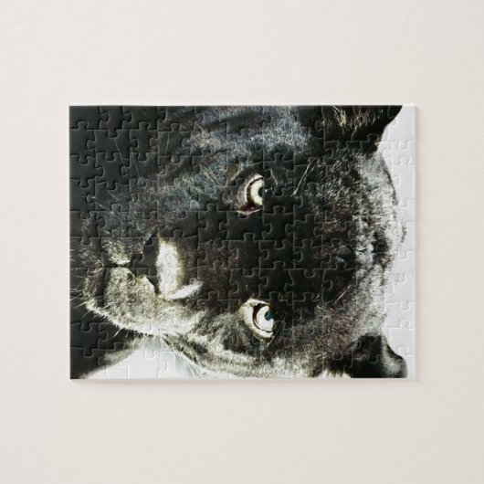 Jaguar Eyes Legpuzzel (Horizontaal)