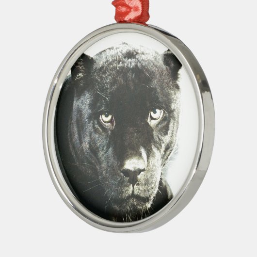 Jaguar Eyes Metalen Ornament (Links)