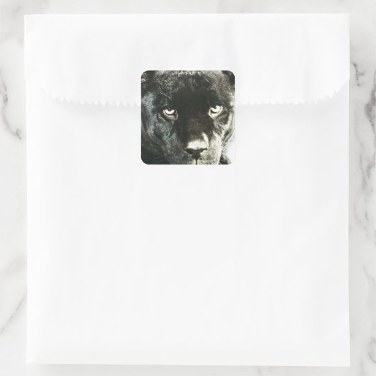 Jaguar Eyes Vierkante Sticker (Tas)