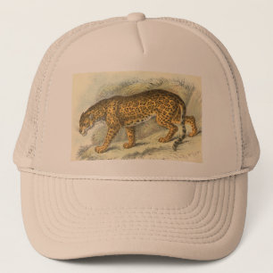 Jaguar, Felis onca Trucker Pet