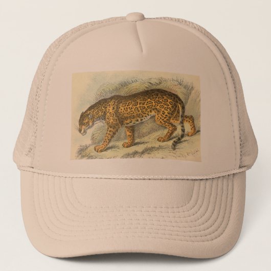 Jaguar, Felis onca Trucker Pet (Voorkant)